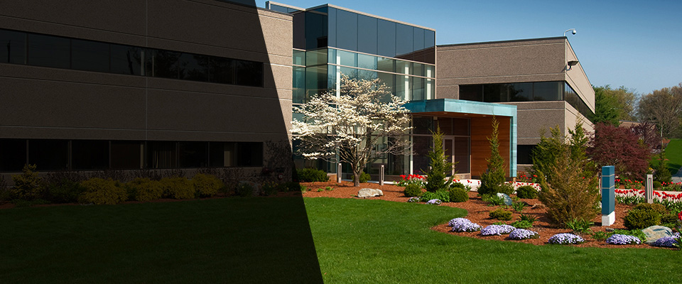 Leoma Landscapers