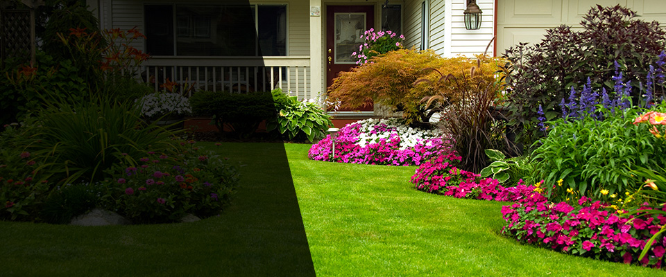 Leoma Landscapers