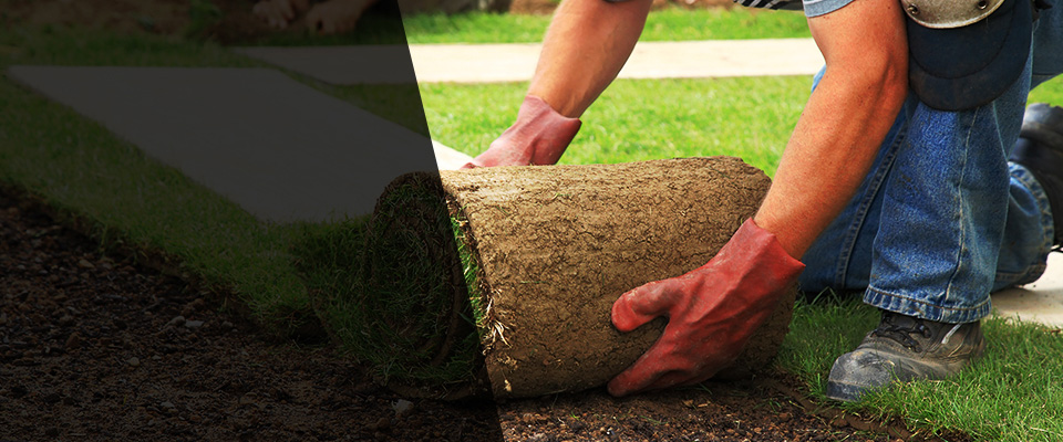 Leoma Landscapers